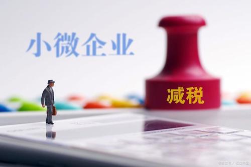 至年底，山東免除個(gè)體工商戶(hù)和小微企業(yè)免一切稅費
